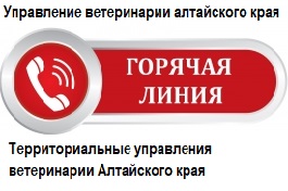Банеры.