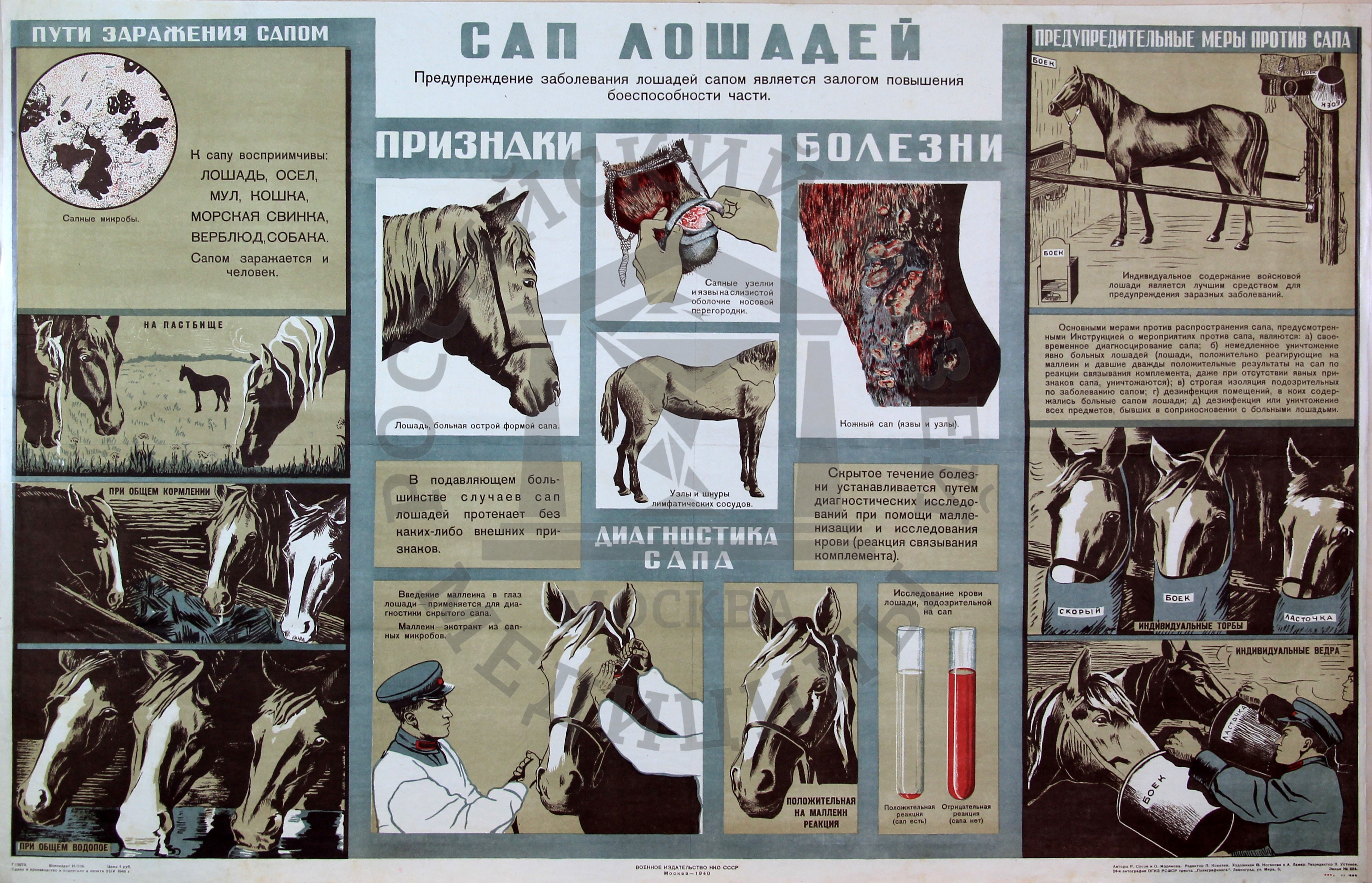 Памятка по сапу животных.