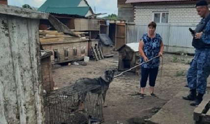 Судебные приставы Алтайского края  запретили деятельность частного собачьего приюта.